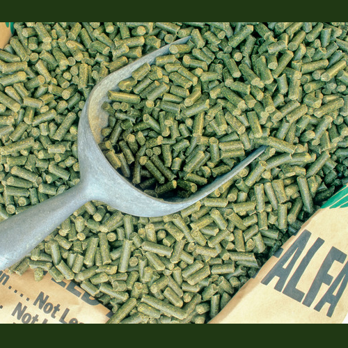 Alimento balanceado de alfalfa, avena y trigo